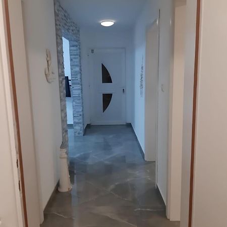 Bodul M. Daire Vir Oda fotoğraf